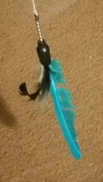 Bird Toy B 20160715_175926