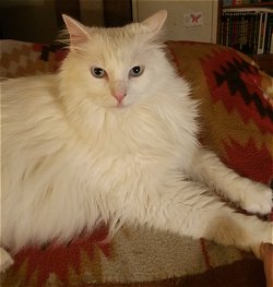 Dorothy B 20160715_204715