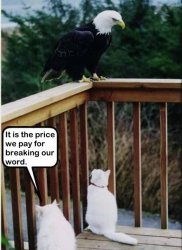 Animals 0238 Mod 2 250