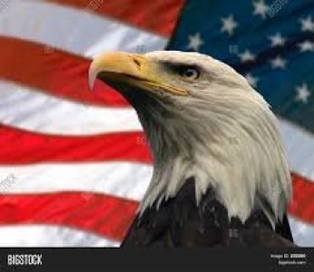 American Eagle 01 300