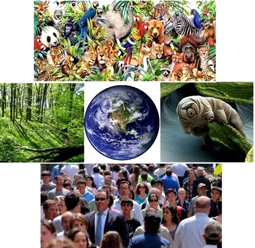 Whose World Is&nbsp;It?