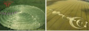Crop Circle Fake or Real 100