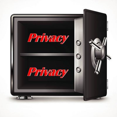 Privacy Safe 400