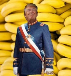 Trump Banana Republic 250