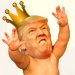Trump Baby King 75