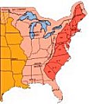 13 original states150