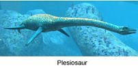 Plesiosaur 03 100