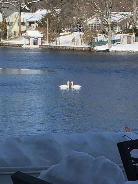 3 Something More 600