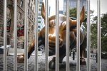 Bull behind Bars 100