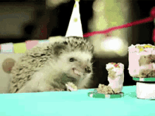 Hedgehog Eating Cake 02