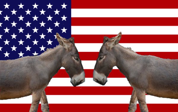 Donkeys Facing Off 01