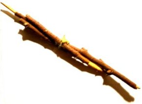 Magic Stick A 20200206_193147