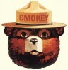 Smokey the Bear 100